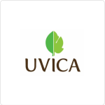 Uvica